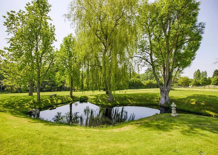 Manor House And Its Park In The Heart Of Calvados Holiday home Saint-Martin-aux-Chartrains