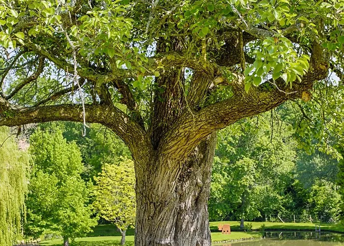 Manor House And Its Park In The Heart Of Calvados *